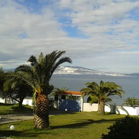 Maria In Front Of The Sea *